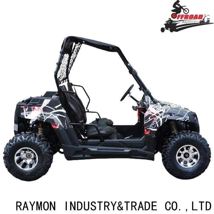 Road Legal Automatic Electric Start 150cc/200cc/250cc ATV Side by Side 4X2 UTV