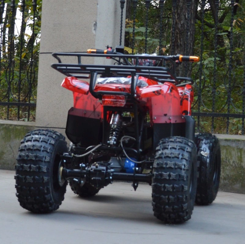 1000W Brushless Electric ATV Quad, Mini ATV Et-ATV004