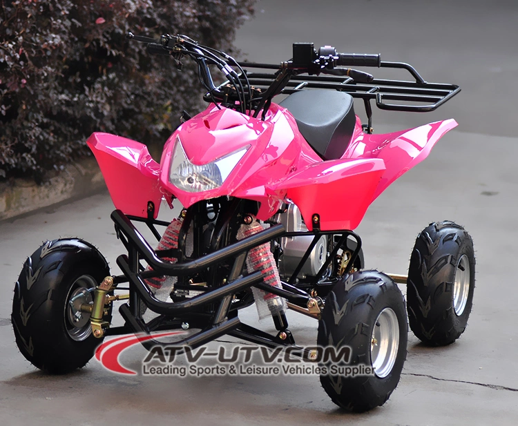 Factory Price 50cc/70cc/90cc/110cc Gas Sport ATV for Sale