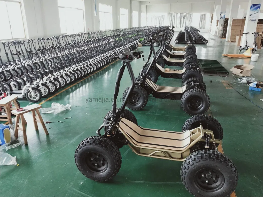 Factory Direct Sale Stable Quality Quad Adult Electric ATV 6000W