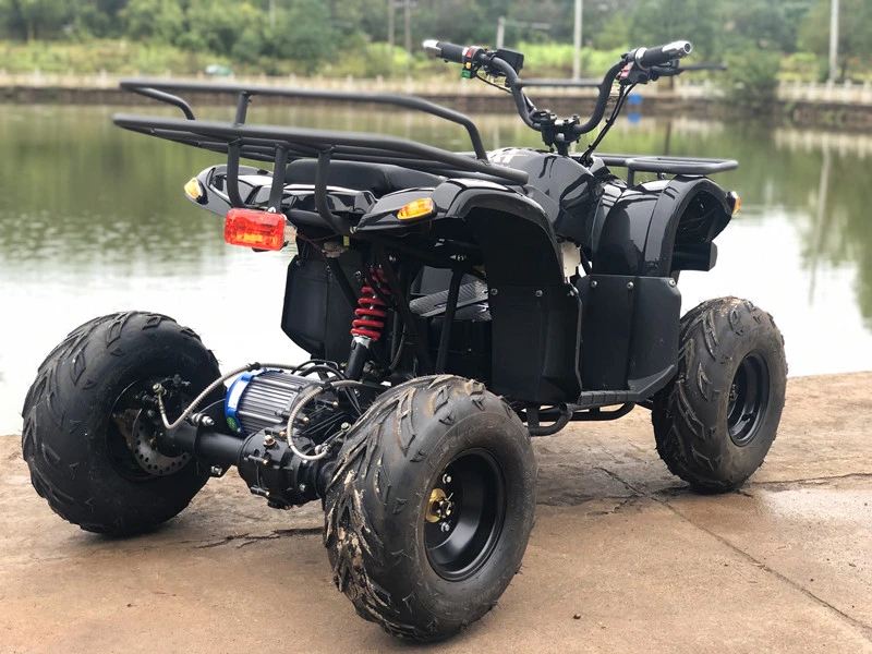 Electric ATV for Kids - 1000W 60V Power with CE Certification