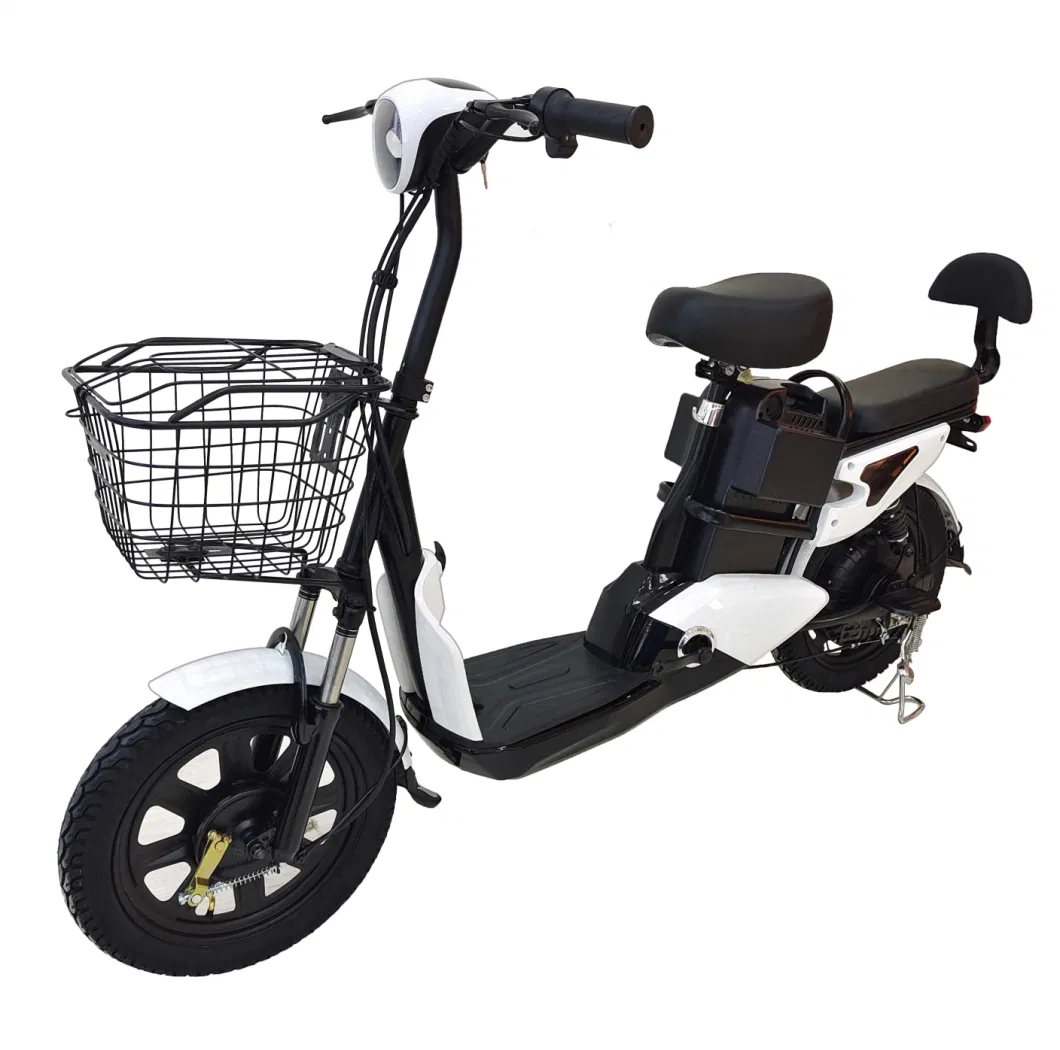 Electric 2 Wheeler Bicycle with Best Price