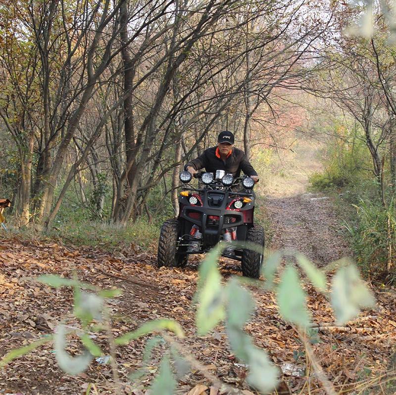 300cc Engine 4X4 600cc Steering Rack Street Legal ATV