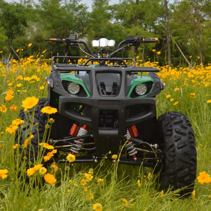 2022 Powerful Adult Electric ATV 2200W 3000W