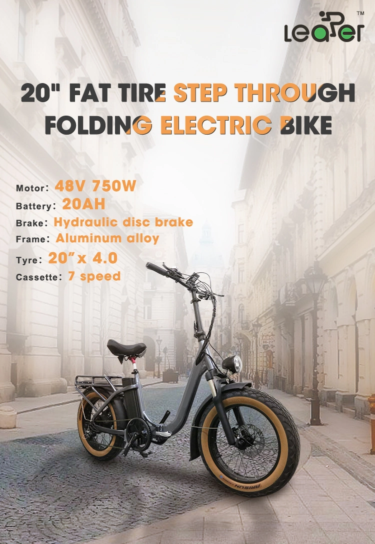 48V 750W Motor Quad City Adult Full Suspension 20 Inch Electric Scooter Bicycle