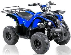 1000W 48V ATV Differential Motor Shaft Drive ATV