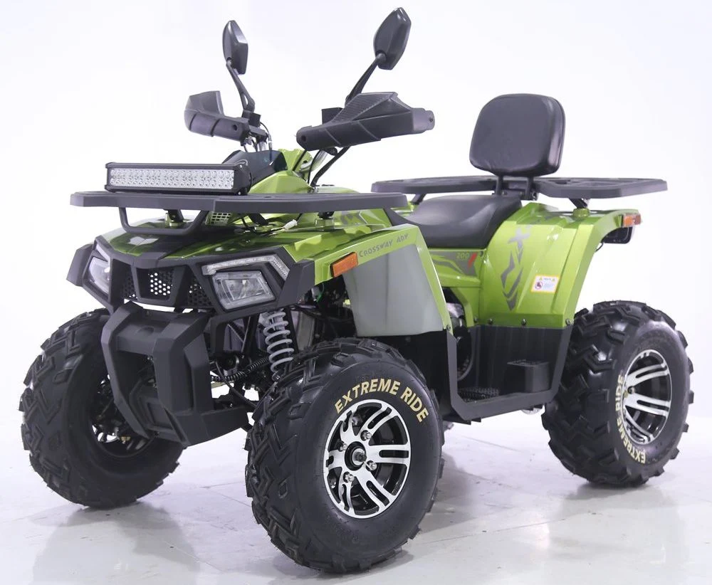Tao Motor 2024 New Automatic Chain Drive Quad Bike 200cc 250cc ATV