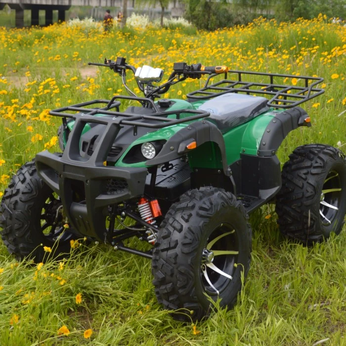 2022 Powerful Adult Electric ATV 2200W 3000W