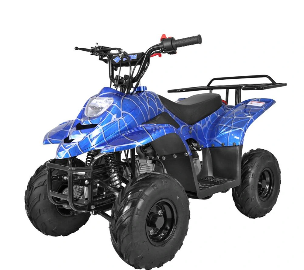 High Quality Kids 110cc ATV for Sale