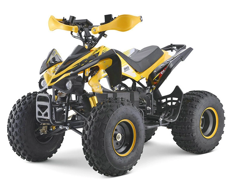 1500W 60V High-Speed Quad Biks Four Wheel ATV Factory Direct Sales