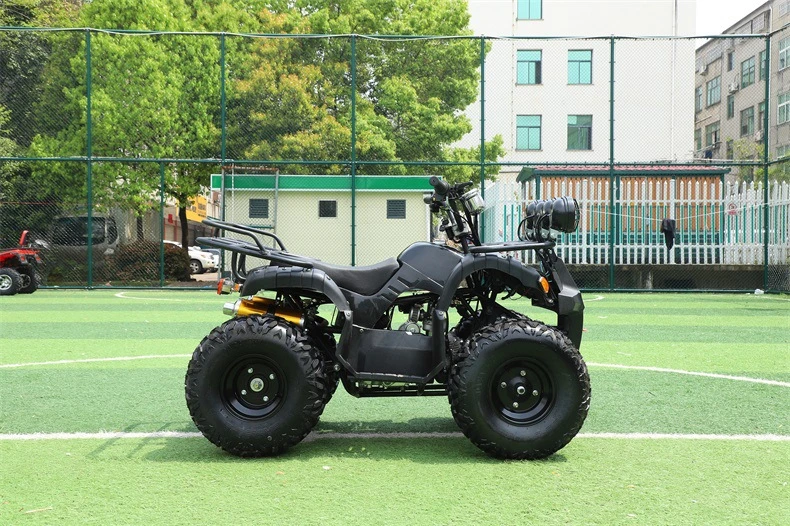 4X4 250cc Quad for 500cc Sale Parts 125cc Trailer 200cc Bike Kids Frame Engine 50cc 1000cc ATV/UTV 400cc off Road 800cc &amp; 4 ATV