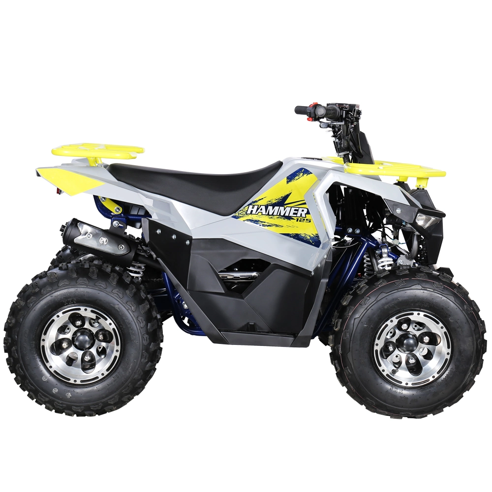 Wholesale Quad ATV 125cc Four Wheel All Terrain off-Road Bike