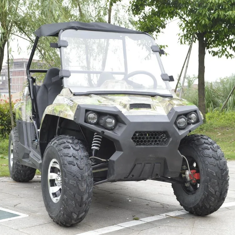 Farm 300cc Oil Diesel 4X4 Buggy UTV for Adults