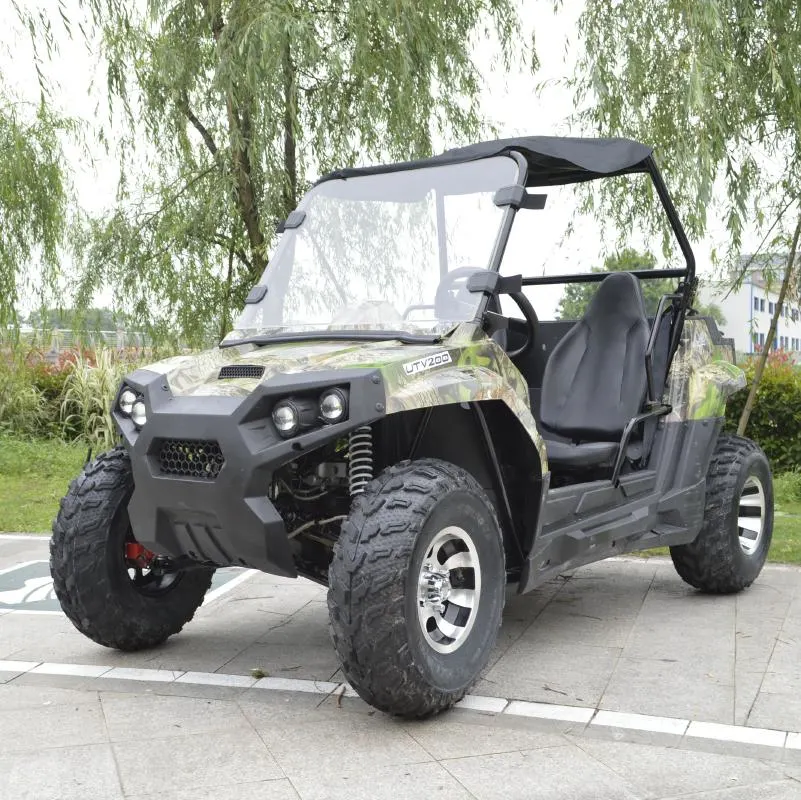 Farm 300cc Oil Diesel 4X4 Buggy UTV for Adults