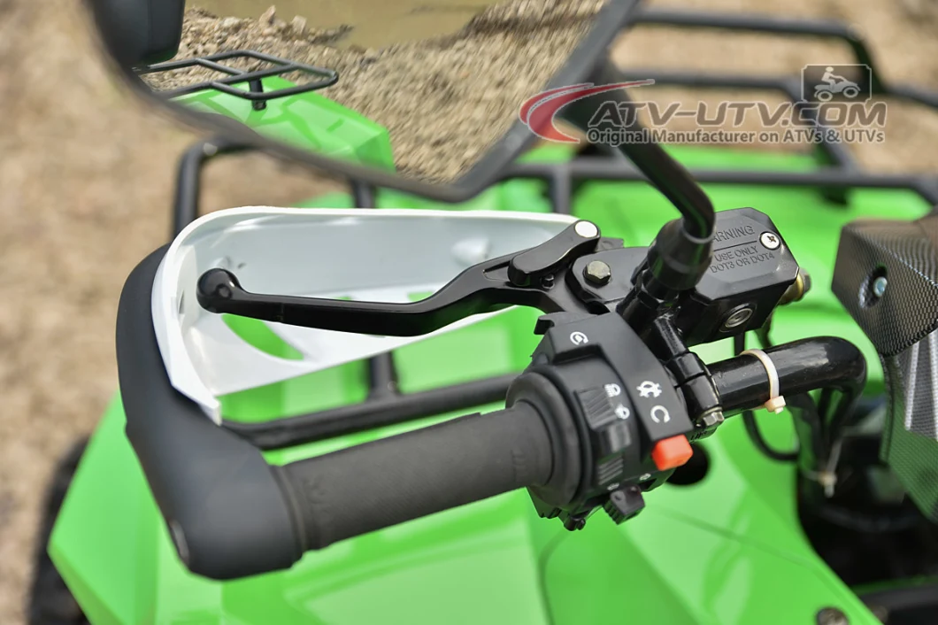 Factory Best Buy 125cc 150cc 200cc 250cc 300cc 400cc 500cc ATV Buggy Quad Bike Price