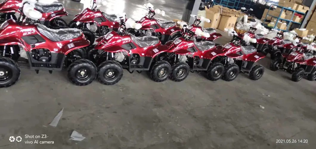 Kids Quad 125cc 4X2 ATV Quad Bike