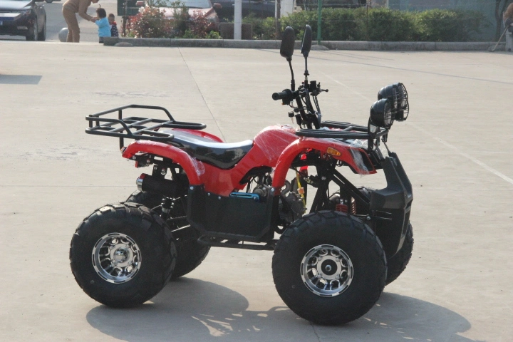 50cc-125cc ATV Quads with Front&Back Lights (ET-ATV004)