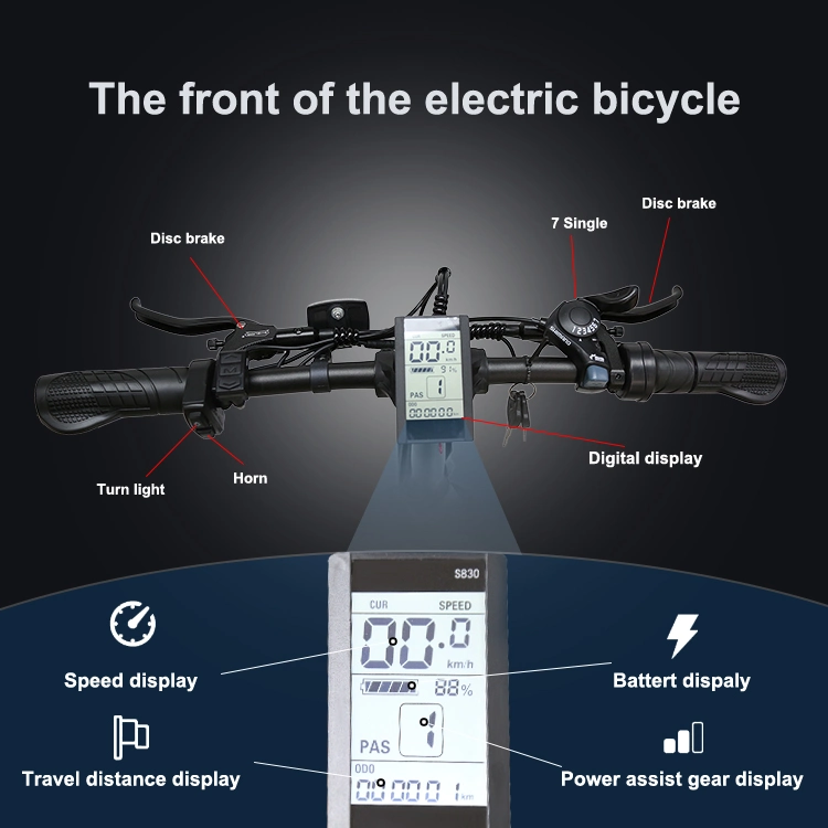 Ebike Lithium Battery 48V Front&Rear Shock Absorber Road Legal Electric Quad Bike