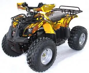 1000W 48V ATV Differential Motor Shaft Drive ATV