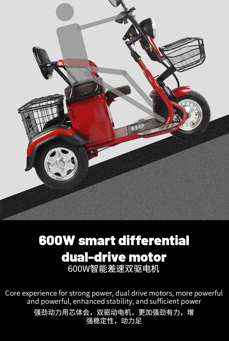 25km Top Speed Etrike Open Electric Tricycle 3 Wheelers