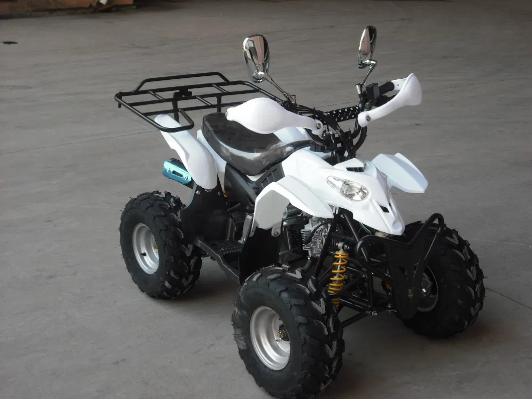 110cc 125cc Electric Start Big Wheel off Road 4 Stroke Adult Quad ATV for Sale