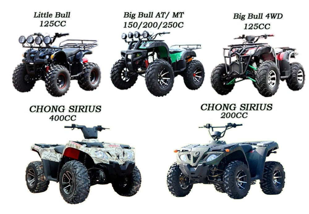 200cc 400cc 4X4 Cruiser off Road Cuatrimoto Four Wheel Motorcycle Quad Dune Buggy ATV