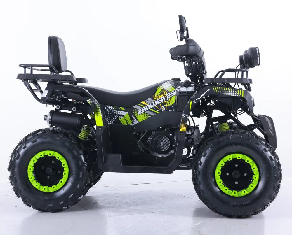 Tao Motor 2024 Quad Bike Motorbike Automatic 150cc 200cc ATV for Adults