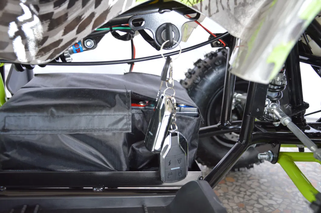 Bat Design 49cc Air Cooled Mini Moto Et-ATV Quad-10