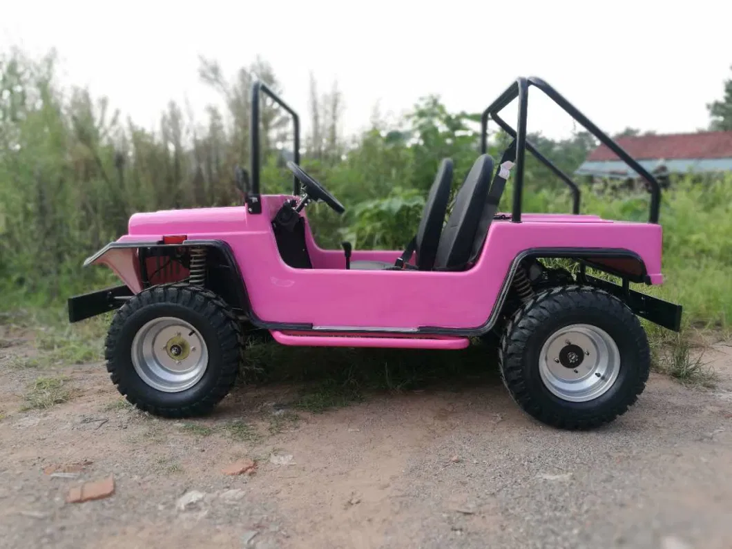 Suyang Made Electric Mini Jeep Adult Golf Cart 2WD 4WD ATV on Sale