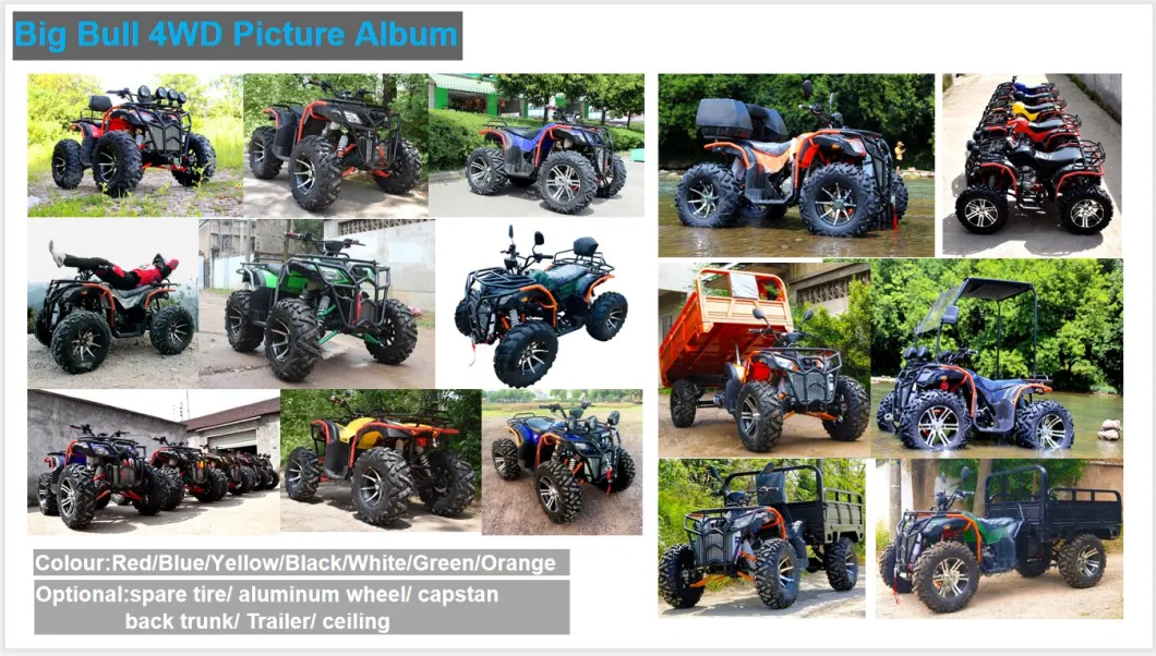 250cc Dirt Bike 4X4 ATV Gasoline&Electric Quad Bike for Adults