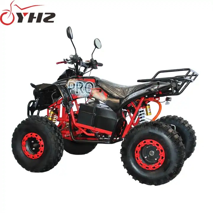 2000W Lead Acid 60V20ah Electric Buggy Go Kart Dirt Bike ATV &amp; Quad