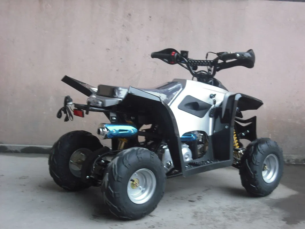 50cc, 110cc ATV 125cc Mini ATV Quads for Childre (ET-ATV007)