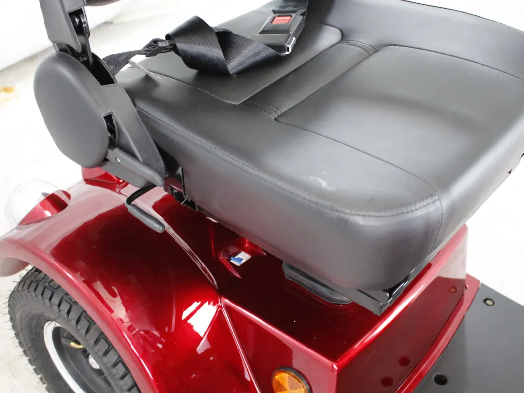 Electric Four Wheeler with Lead-Acid Battery