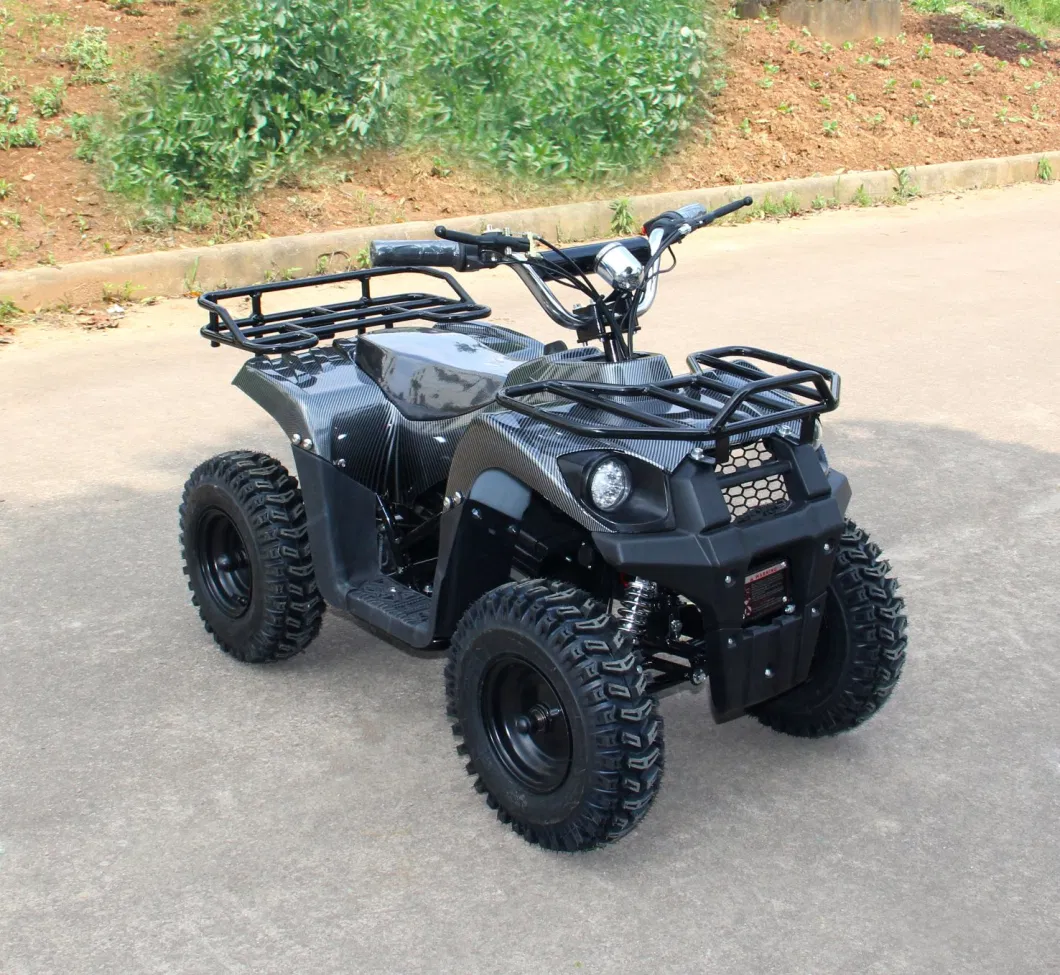 Newest Mini 48V 1000W Electric ATV for Kids