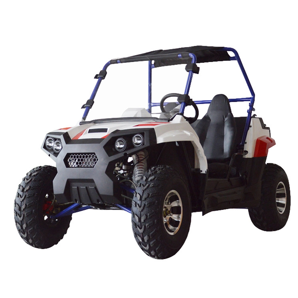 60/72V 1500/1800W Farm Utility Vehicle Land Cruiser Dune Buggy Electric UTV