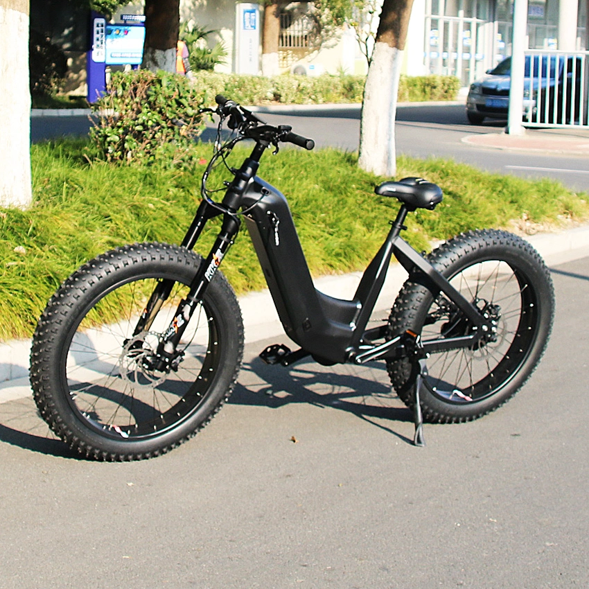 2023 Fat Tire Ebike Elektro Velosiped 26 Inch 48V 750W 30ah Big Capacity Lithium Battery Snow off-Road Urban Electric Dirt Bike