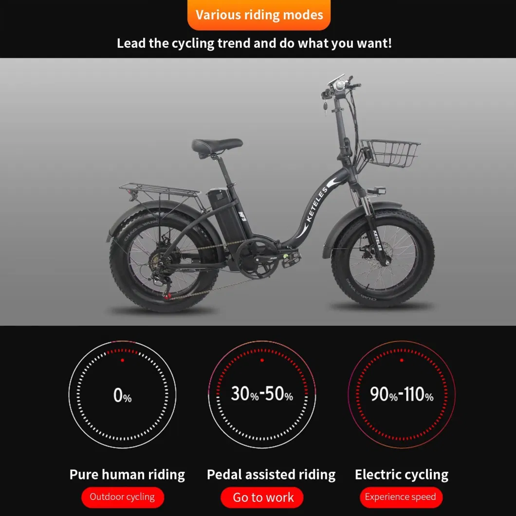 20 Inch Foldable Ebike 1000W48V18ah Rear Wheel Motor Electric City Bike Electric Bicycle with Basket