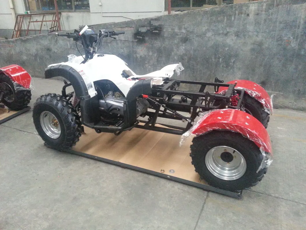 4X4 4-Stroke 200cc 250cc 300cc Farm Cargo ATV Coc (AT1505-B)