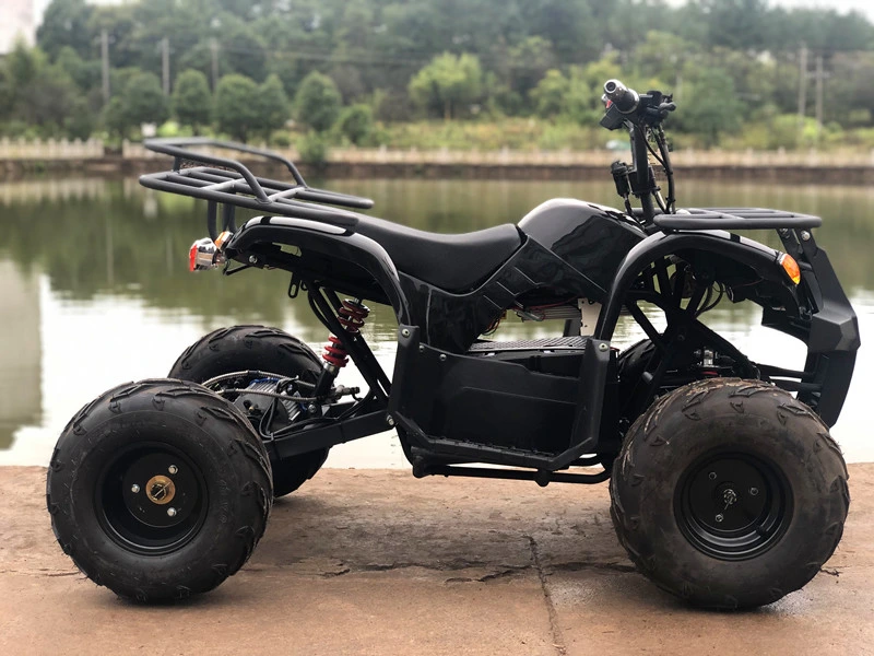 Electric ATV for Kids - 1000W 60V Power with CE Certification