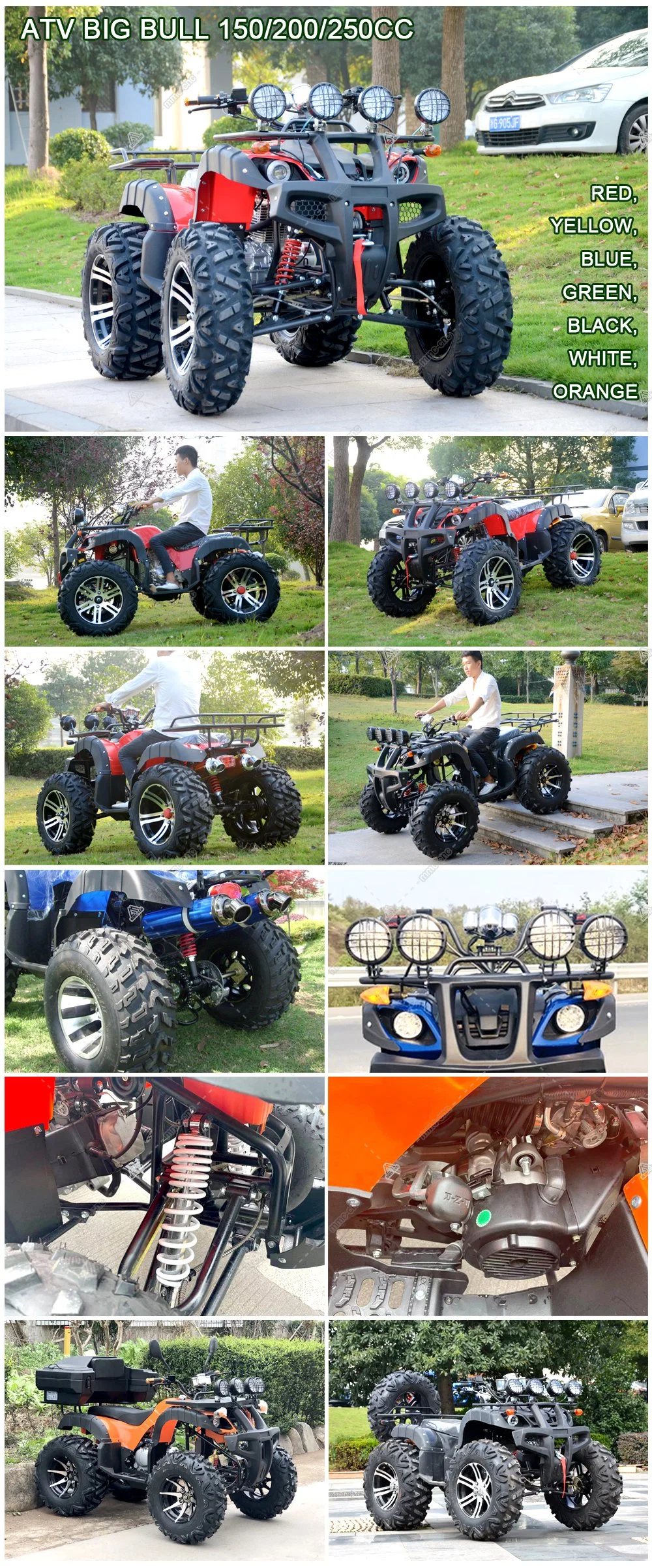 3 Wheeler 150cc 200cc 250cc Mountain Vehicle off Road Chain Drive Motor Farm Beach ATV