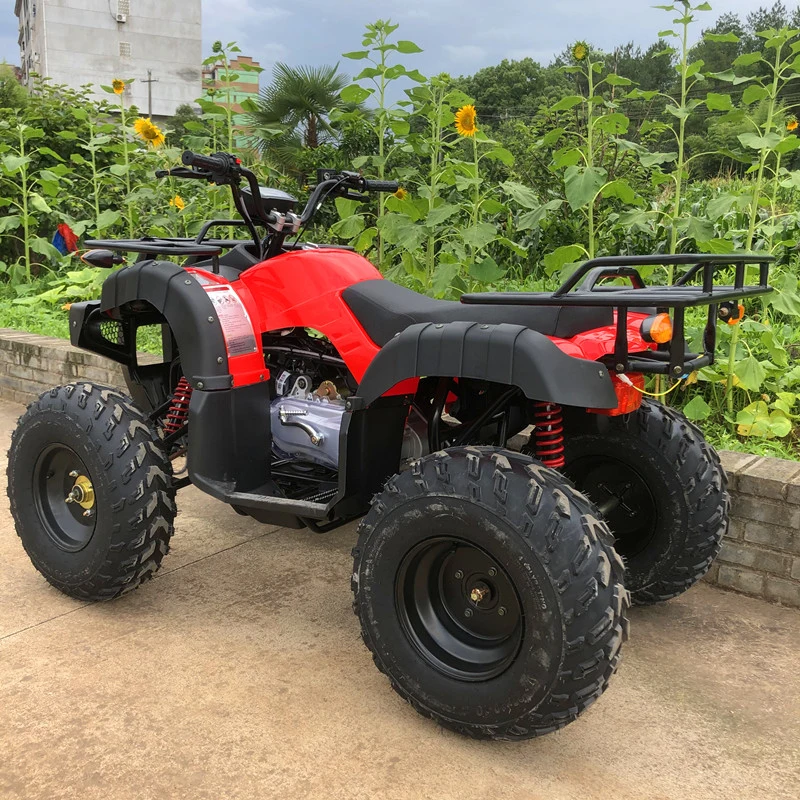 Youth and Adult Quad Bike ATV with 200cc Engine