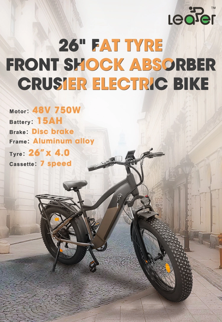 Disc Brake 48V 15ah Folding Fat Ebike E Quad Bike Electric Bicycle
