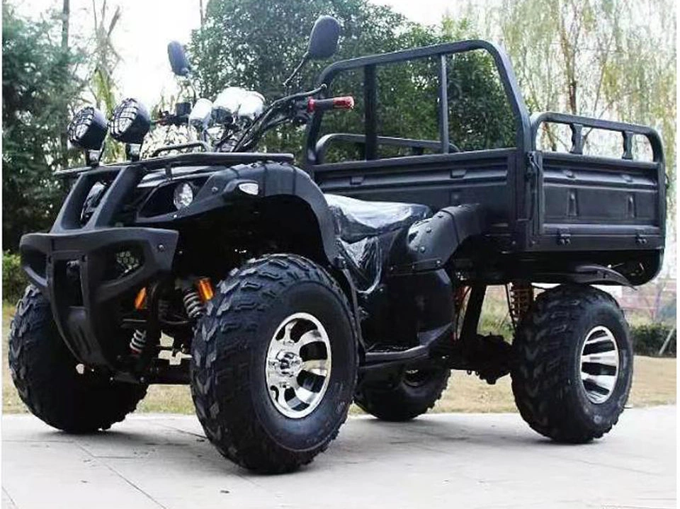 Utility Vehicle 300cc All-Terrain Electric Start Farm ATV UTV