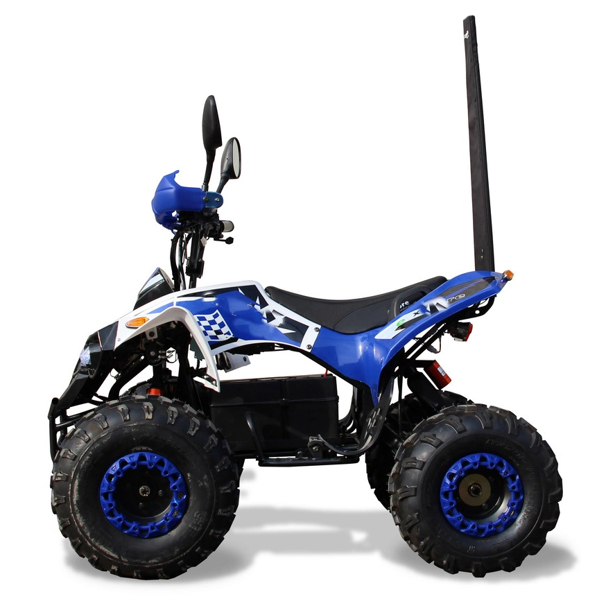 4 Wheeler for Teenagers 1200W 1500W 60V