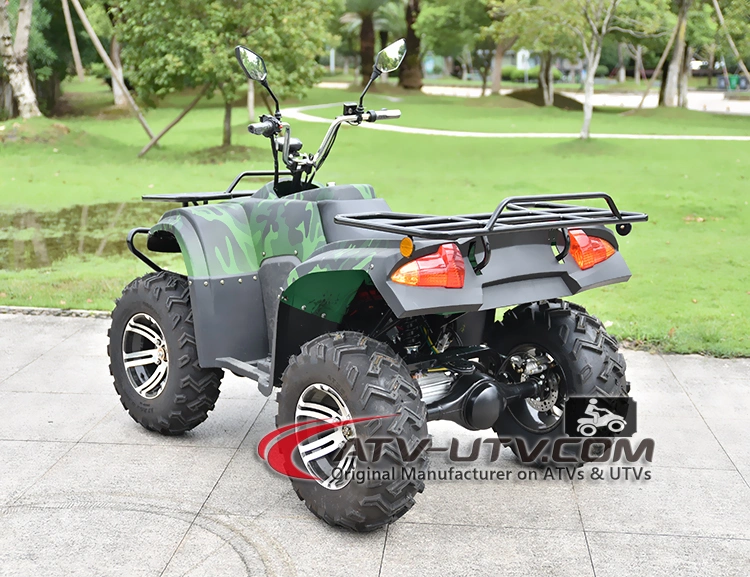 3000W 4000W 5000W 6000W 4X4 Electric Adult 2 Seat ATV/Electric Drive 300cc Farm Quad Bike Price