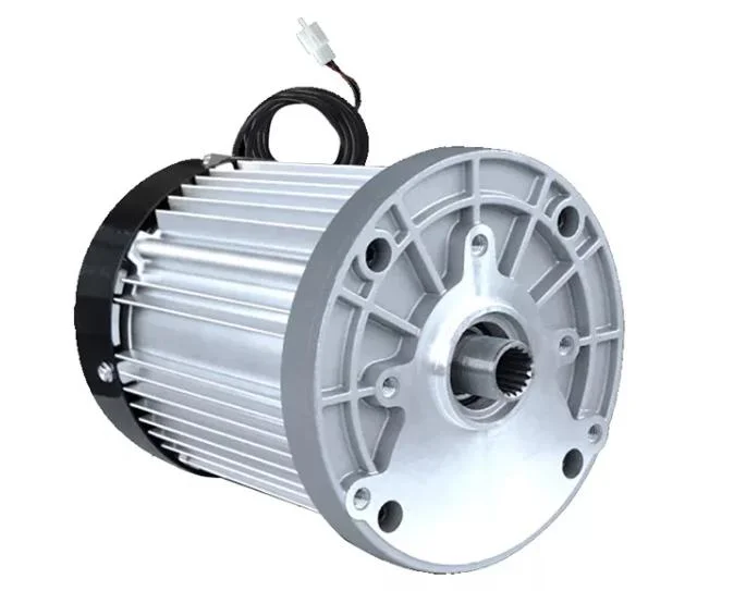 Hot Selling 48V 1500W 3200rpm Brushless Gear DC Motor Differential Motor for Tricycle