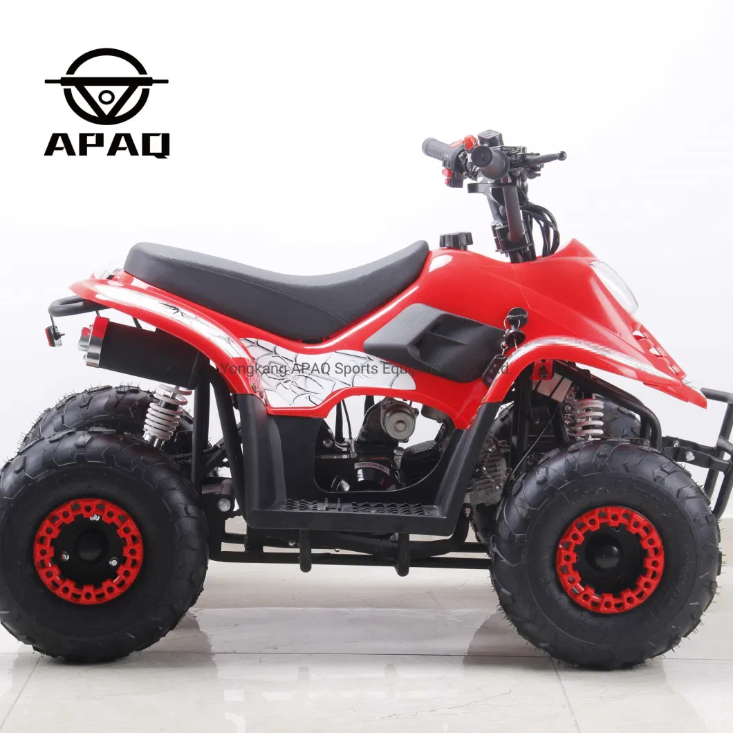 Apaq Mini Kid Quad Bike 50cc 110cc ATV Bike with CE