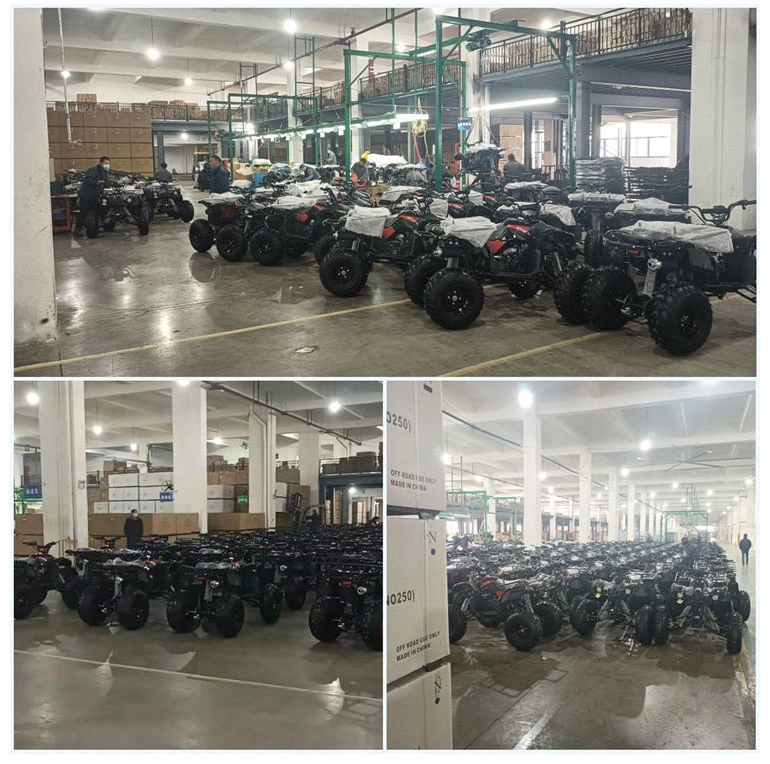 300cc Racing Motorcycles Automatic Transmission 4 Wheeler ATV for Adults