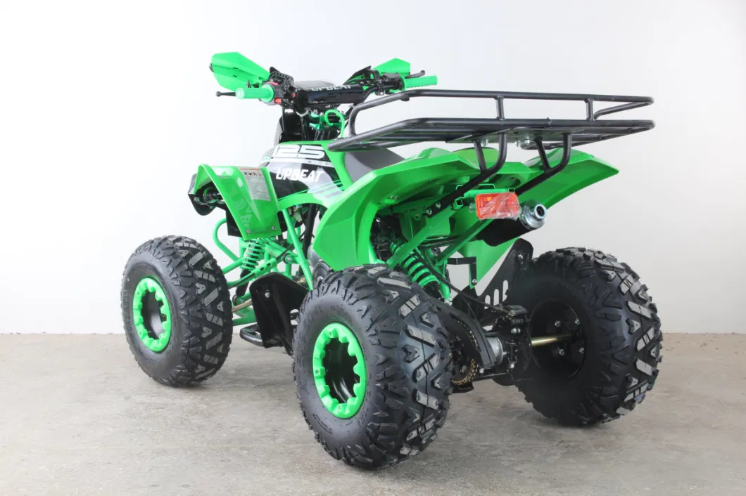 6 Inch Single Cylinder 45km/H Engine Kids ATV 49cc Mini ATV