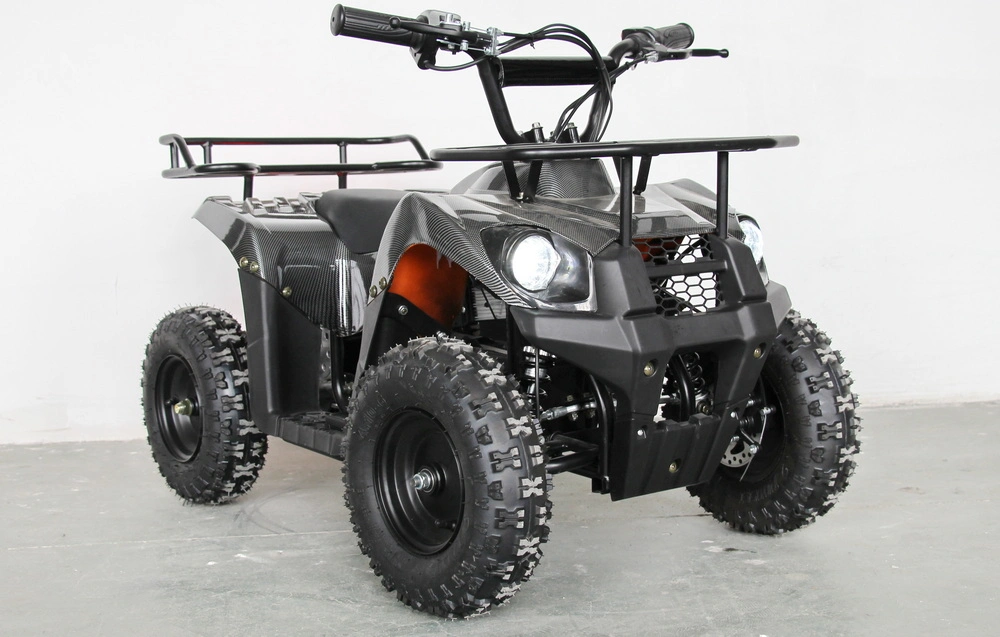 1000W 48V 500W 48V Electric ATV Four-Wheel off-Road ATV Factoydirect Sales